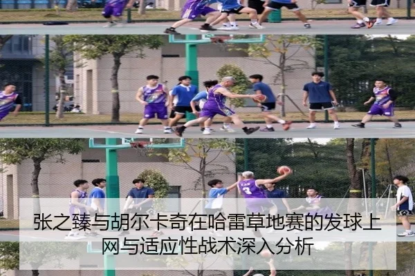 张之臻与胡尔卡奇在哈雷草地赛的发球上网与适应性战术深入分析